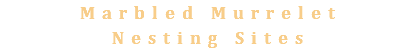 Marbled Murrelet Nesting Sites